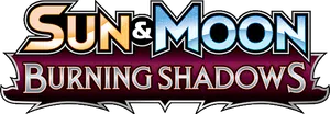 Burning Shadows